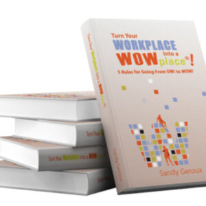 Leadership book, WOWplace