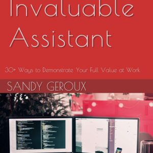 The Invaluable Assistant eBook